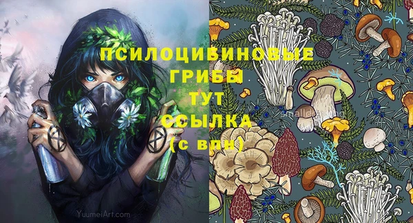 крисы Верхнеуральск