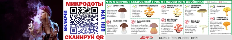 продажа наркотиков Майкоп Псилоцибиновые грибы Psilocybe